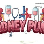 Kidney
